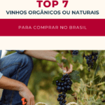 7 Top Vinhos Orgânicos ou Naturais para comprar no Brasil