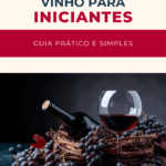 capa Vinho para Iniciantes Guia Prático e Simples