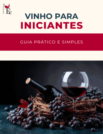 capa Vinho para Iniciantes Guia Prático e Simples